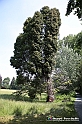 VBS_1533 - Castello di Miradolo - Mostra Oltre il giardino l'Abbecedario di paolo Pejrone